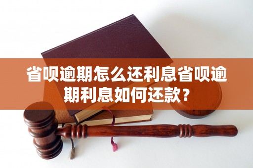 省呗逾期怎么还利息省呗逾期利息如何还款？