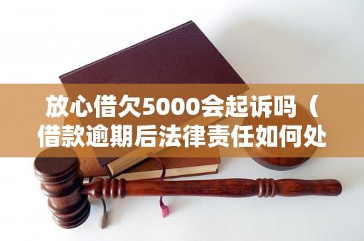 放心借欠5000会起诉吗（借款逾期后法律责任如何处理）