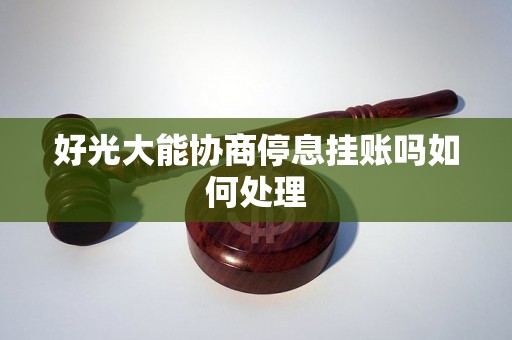 好光大能协商停息挂账吗如何处理