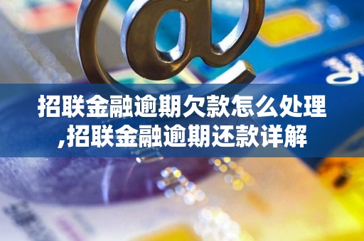 招联金融逾期欠款怎么处理,招联金融逾期还款详解