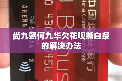 尚九熙何九华欠花呗撕白条的解决办法