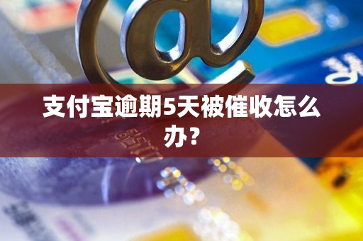 支付宝逾期5天被催收怎么办？