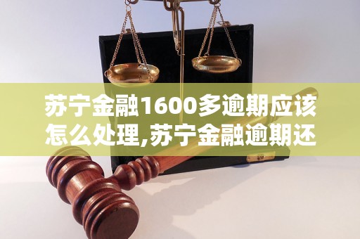 苏宁金融1600多逾期应该怎么处理,苏宁金融逾期还款详细解决方法