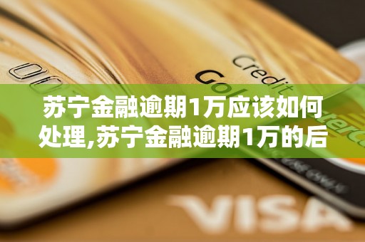 苏宁金融逾期1万应该如何处理,苏宁金融逾期1万的后果与解决办法