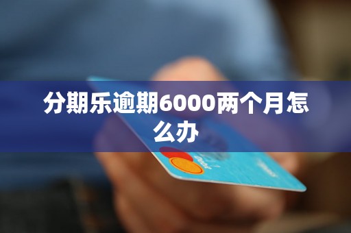 分期乐逾期6000两个月怎么办