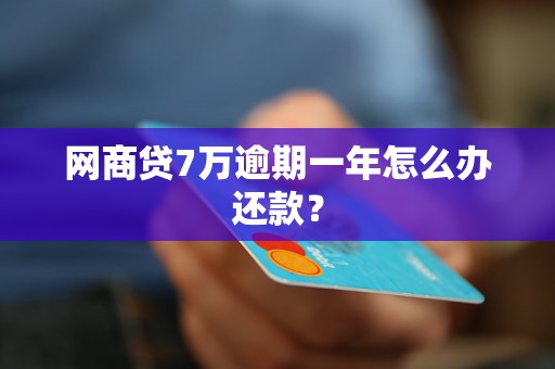 网商贷7万逾期一年怎么办还款？