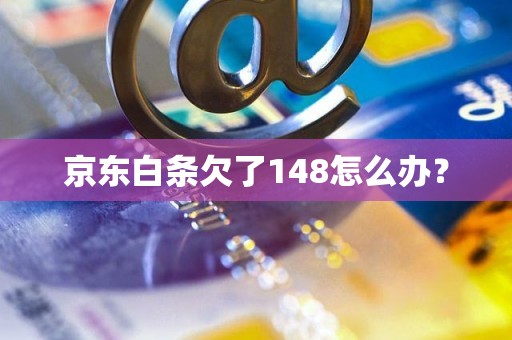 京东白条欠了148怎么办？