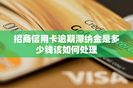 招商信用卡逾期滞纳金是多少钱该如何处理