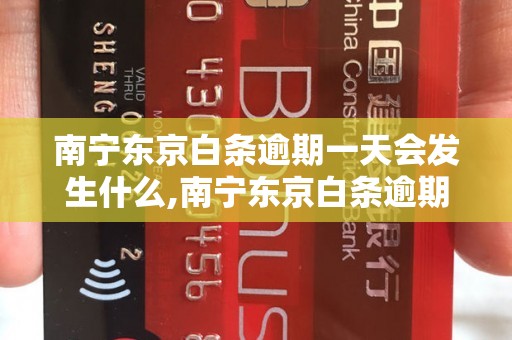 南宁东京白条逾期一天会发生什么,南宁东京白条逾期后的处罚措施