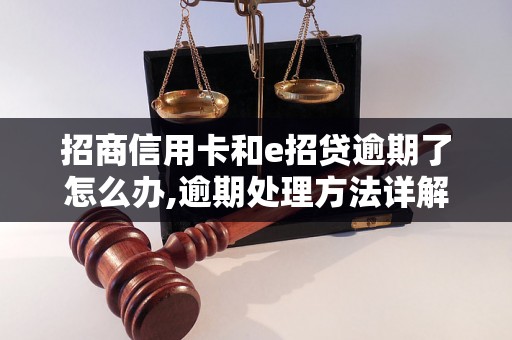 招商信用卡和e招贷逾期了怎么办,逾期处理方法详解