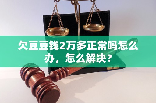 欠豆豆钱2万多正常吗怎么办，怎么解决？