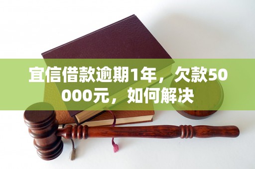 宜信借款逾期1年，欠款50000元，如何解决