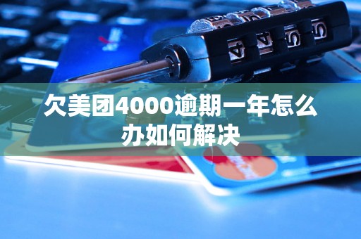 欠美团4000逾期一年怎么办如何解决