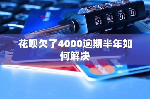 花呗欠了4000逾期半年如何解决