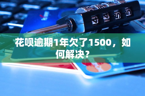 花呗逾期1年欠了1500，如何解决？