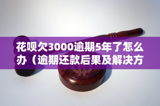 花呗欠3000逾期5年了怎么办（逾期还款后果及解决方法）