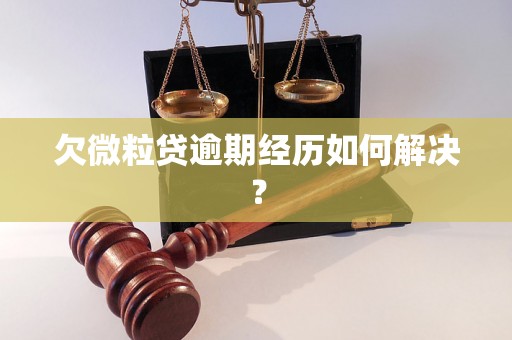 欠微粒贷逾期经历如何解决？