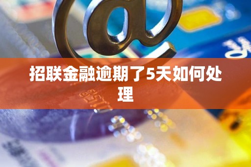 招联金融逾期了5天如何处理