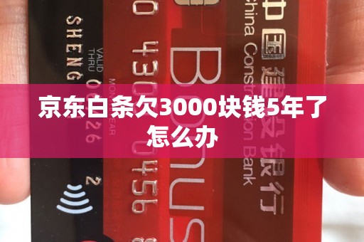 京东白条欠3000块钱5年了怎么办