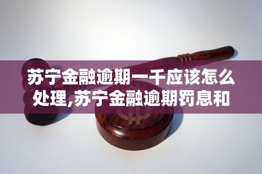 苏宁金融逾期一千应该怎么处理,苏宁金融逾期罚息和处罚措施是什么