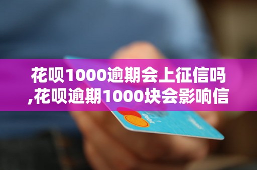 花呗1000逾期会上征信吗,花呗逾期1000块会影响信用记录吗