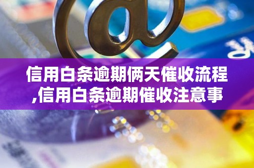 信用白条逾期俩天催收流程,信用白条逾期催收注意事项