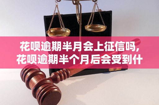 花呗逾期半月会上征信吗,花呗逾期半个月后会受到什么影响