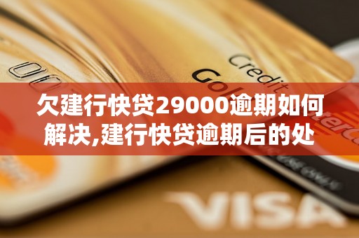 欠建行快贷29000逾期如何解决,建行快贷逾期后的处理措施