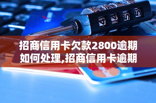 招商信用卡欠款2800逾期如何处理,招商信用卡逾期还款解决办法