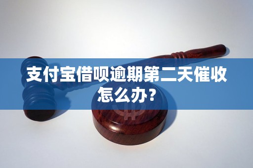 支付宝借呗逾期第二天催收怎么办？