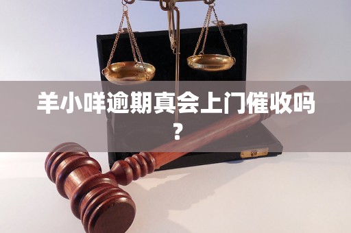 羊小咩逾期真会上门催收吗？