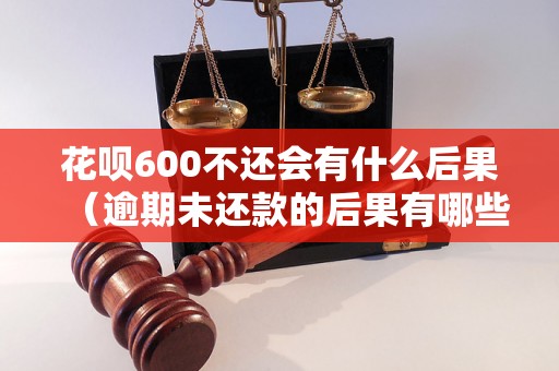 花呗600不还会有什么后果（逾期未还款的后果有哪些）