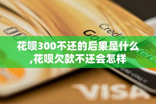 花呗300不还的后果是什么,花呗欠款不还会怎样