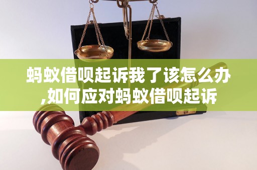 蚂蚁借呗起诉我了该怎么办,如何应对蚂蚁借呗起诉