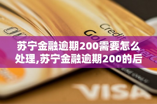 苏宁金融逾期200需要怎么处理,苏宁金融逾期200的后果及解决方法