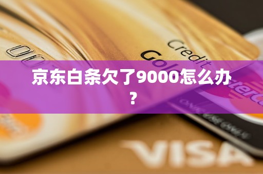 京东白条欠了9000怎么办？