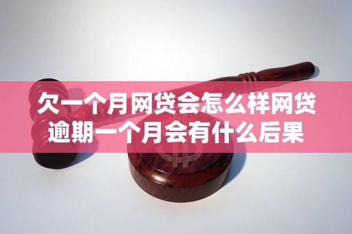 欠一个月网贷会怎么样网贷逾期一个月会有什么后果