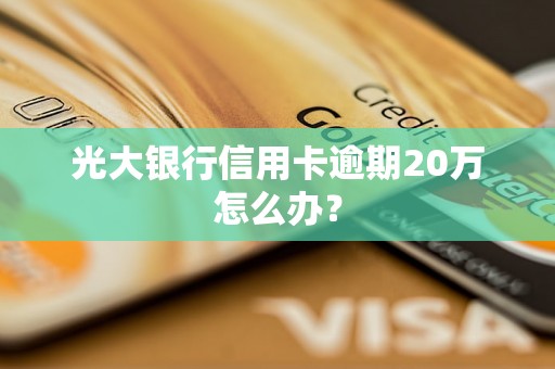 光大银行信用卡逾期20万怎么办？