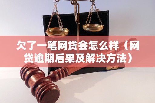 欠了一笔网贷会怎么样（网贷逾期后果及解决方法）