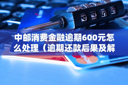 中邮消费金融逾期600元怎么处理（逾期还款后果及解决办法）