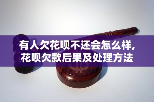 有人欠花呗不还会怎么样,花呗欠款后果及处理方法