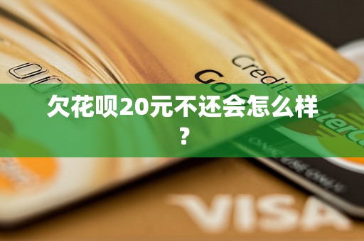 欠花呗20元不还会怎么样？