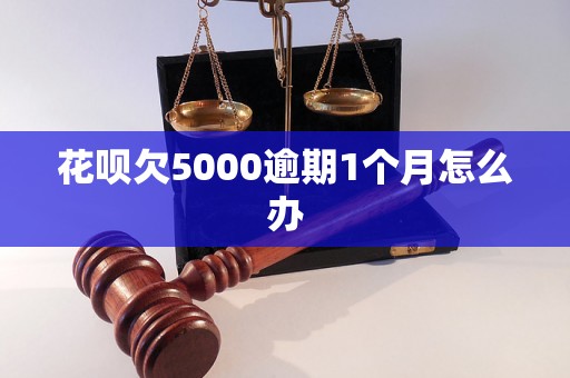 花呗欠5000逾期1个月怎么办