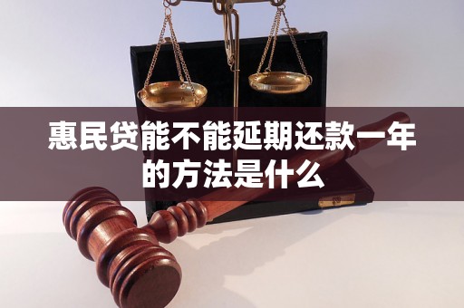 惠民贷能不能延期还款一年的方法是什么