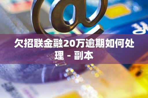 欠招联金融20万逾期如何处理 - 副本