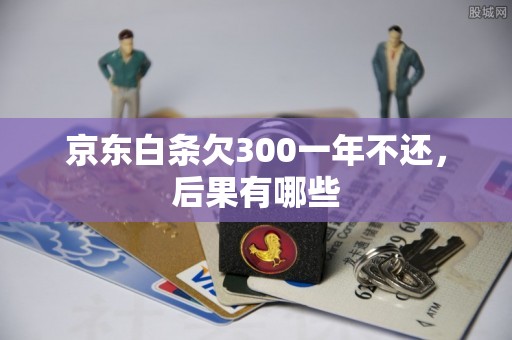 京东白条欠300一年不还，后果有哪些