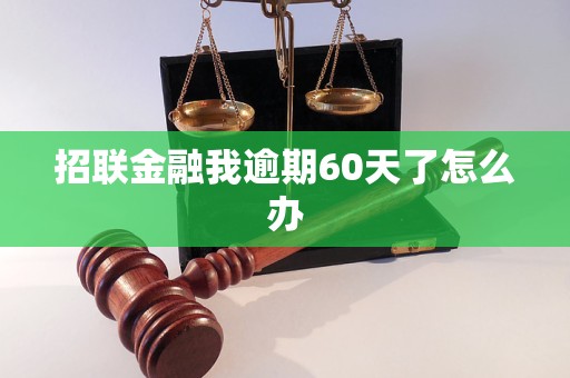 招联金融我逾期60天了怎么办