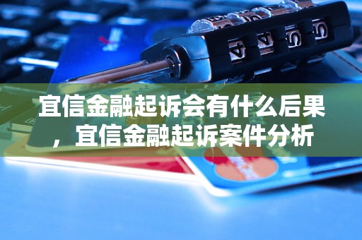 宜信金融起诉会有什么后果，宜信金融起诉案件分析