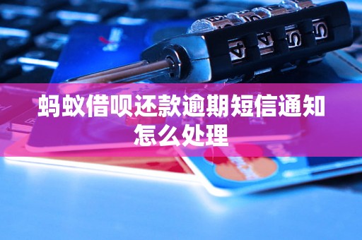 蚂蚁借呗还款逾期短信通知怎么处理