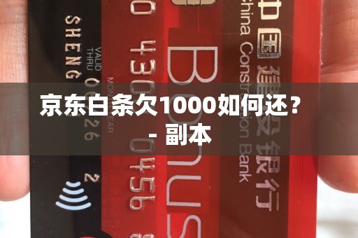 京东白条欠1000如何还？ - 副本